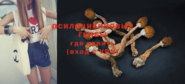 гидра Нефтекумск
