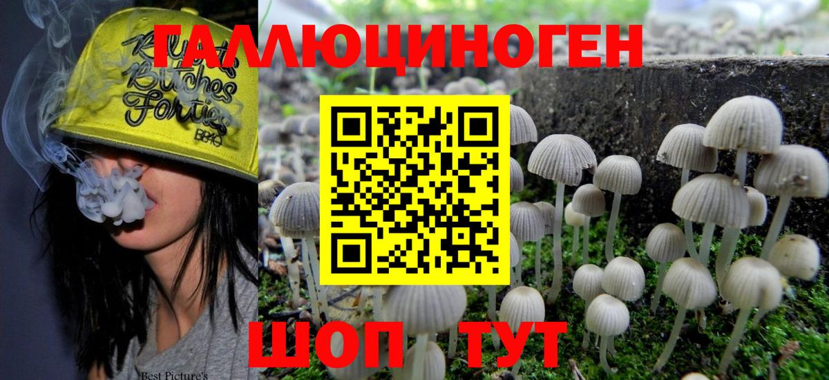 Галлюциногенные грибы MAGIC MUSHROOMS Апатиты