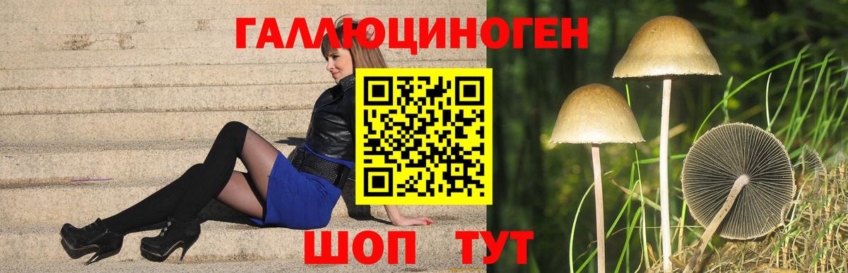 Галлюциногенные грибы прущие грибы Апатиты