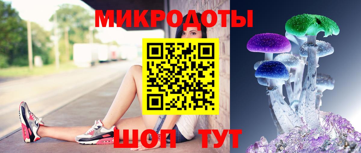 Апатиты  Галлюциногенные грибы прущие грибы  Галлюциногенные грибы прущие грибы  Вход с VPN 